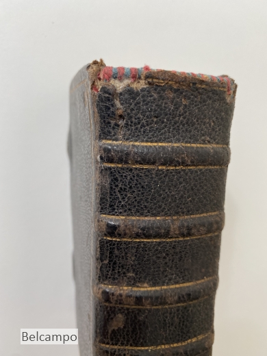 Methodica Praxis. Rite, Recte, Saepe Sacrificandi