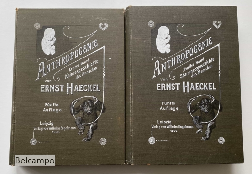 Anthropogenie oder Entwicklungsgeschichte des Menschen