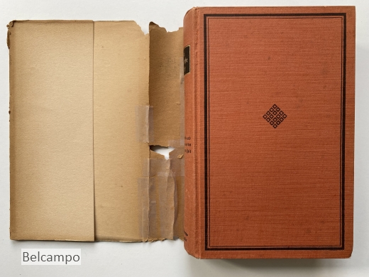 Enzyklopadie der philosophischen Wissenschaften im Grundrisse und andere Schriften der heidelberger Zeit