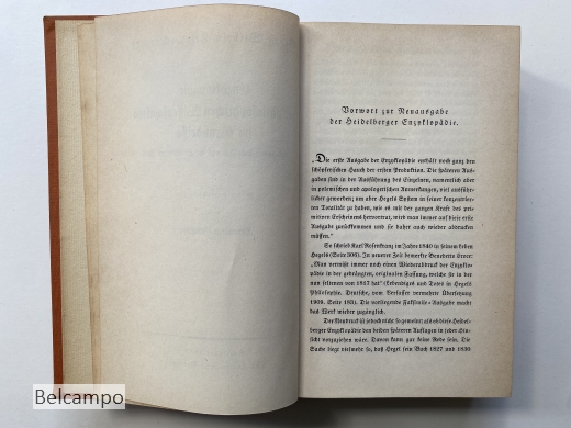 Enzyklopadie der philosophischen Wissenschaften im Grundrisse und andere Schriften der heidelberger Zeit