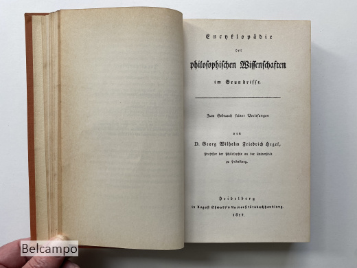 Enzyklopadie der philosophischen Wissenschaften im Grundrisse und andere Schriften der heidelberger Zeit