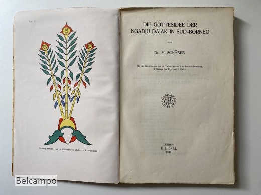 Die Gottesidee der Ngadju Dajak in Süd-Borneo