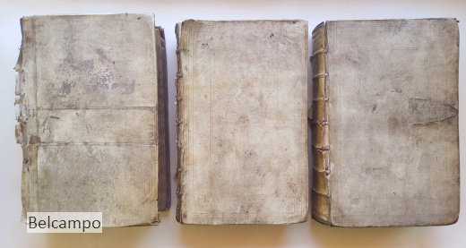 Joh. Lodew. Gottfrieds Historische kronyck, vervattende een nauwkeurige en volkomene beschrijvingh der aldergedenckwaerdighste geschiedenissen des weerelds, van den aenvangh der scheppingh tot op t jaer Christi 1576