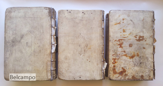 Joh. Lodew. Gottfrieds Historische kronyck, vervattende een nauwkeurige en volkomene beschrijvingh der aldergedenckwaerdighste geschiedenissen des weerelds, van den aenvangh der scheppingh tot op t jaer Christi 1576