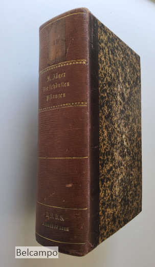 Die schönsten Pflanzen. Des Blumen- und Landschaftsgartens, der Gewächshäuser und Wohnungen.