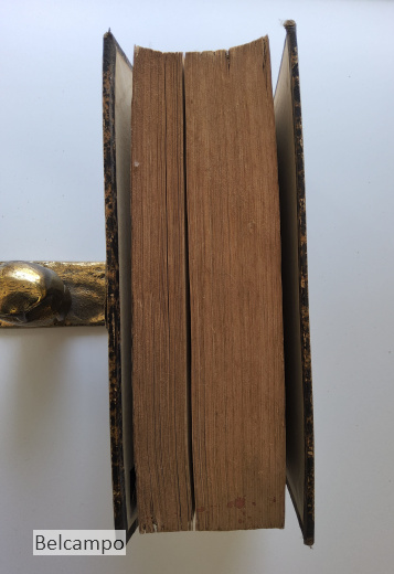 Die schönsten Pflanzen. Des Blumen- und Landschaftsgartens, der Gewächshäuser und Wohnungen.