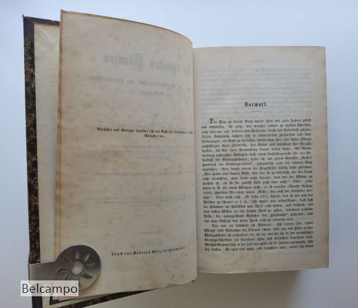 Die schönsten Pflanzen. Des Blumen- und Landschaftsgartens, der Gewächshäuser und Wohnungen.