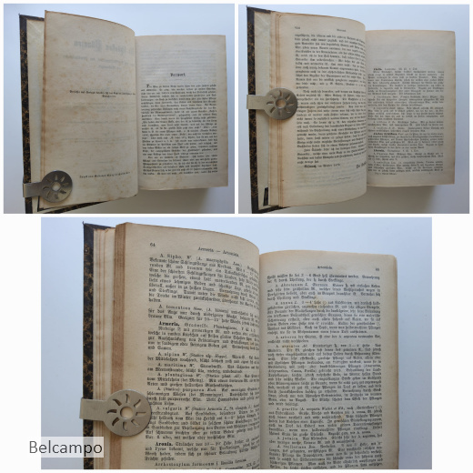 Die schönsten Pflanzen. Des Blumen- und Landschaftsgartens, der Gewächshäuser und Wohnungen.