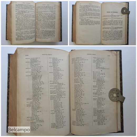 Die schönsten Pflanzen. Des Blumen- und Landschaftsgartens, der Gewächshäuser und Wohnungen.