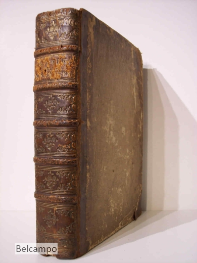 David. In Twaalf Boeken