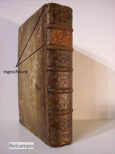 David. In Twaalf Boeken