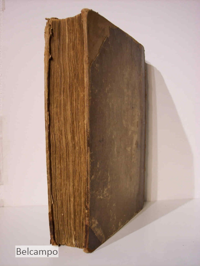 David. In Twaalf Boeken