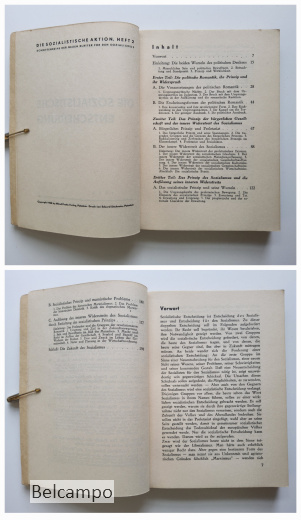 Die sozialistische Entscheidung.