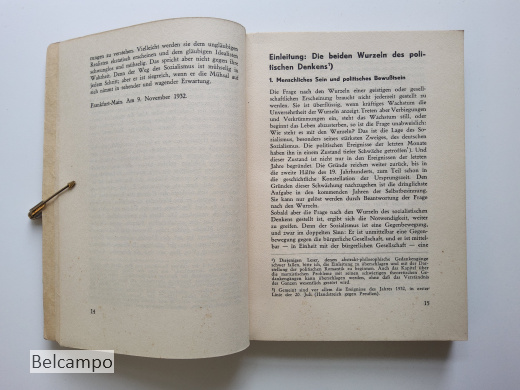 Die sozialistische Entscheidung.