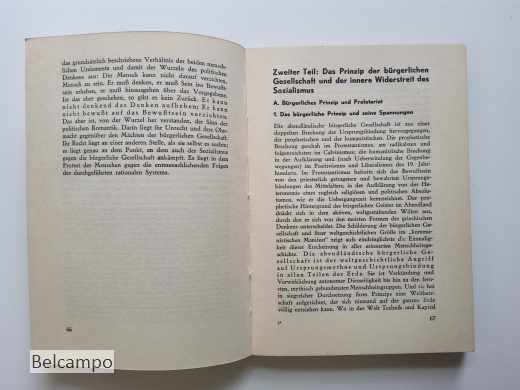 Die sozialistische Entscheidung.