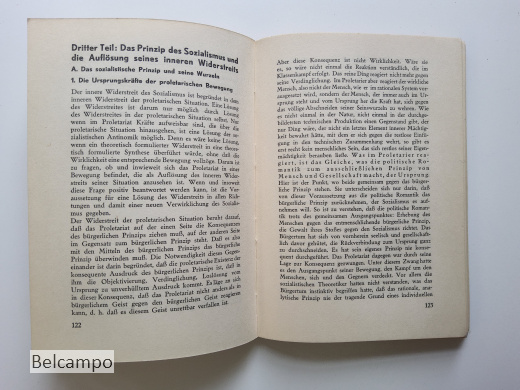 Die sozialistische Entscheidung.