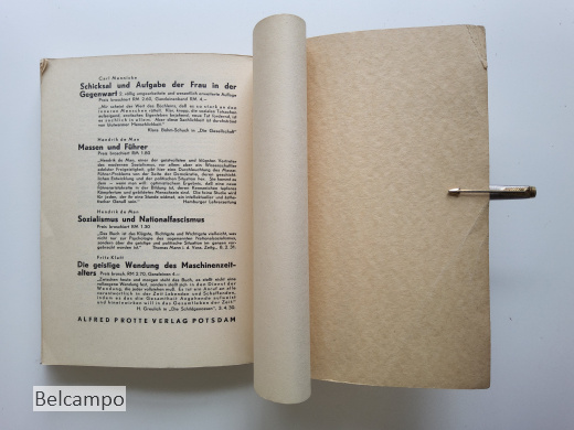 Die sozialistische Entscheidung.