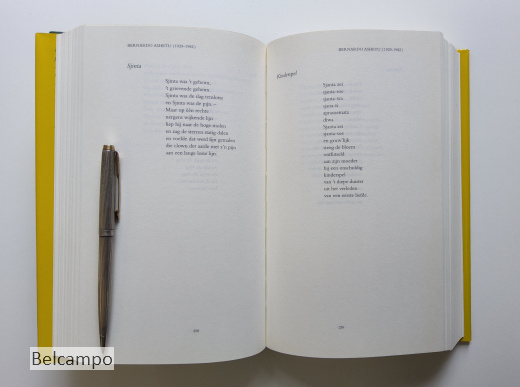 Spiegel van de Surinaamse poëzie.