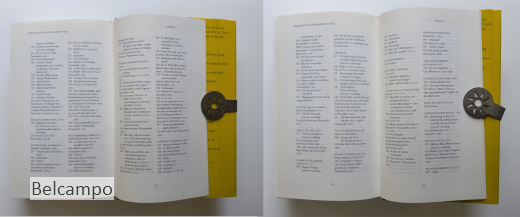 Spiegel van de Surinaamse poëzie.