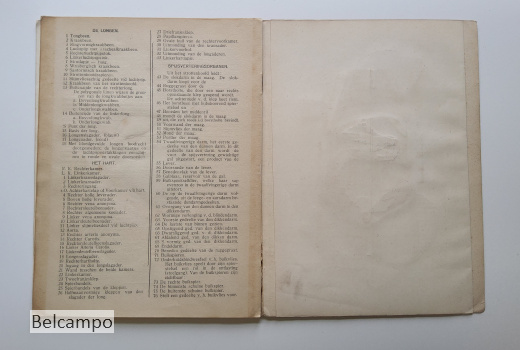 De bloedsomloop en de spijsvertering van den Mensch