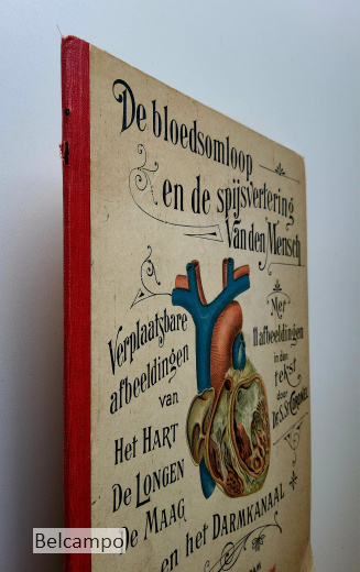 De bloedsomloop en de spijsvertering van den Mensch