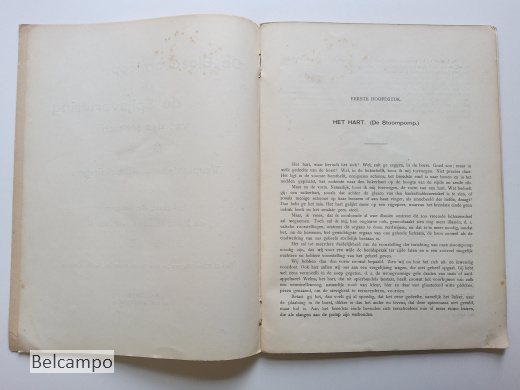 De bloedsomloop en de spijsvertering van den Mensch