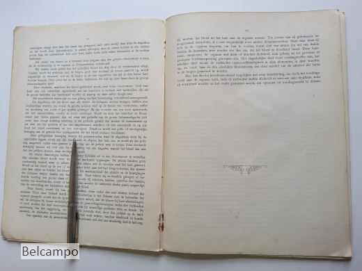 De bloedsomloop en de spijsvertering van den Mensch