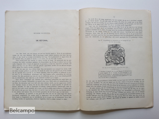 De bloedsomloop en de spijsvertering van den Mensch