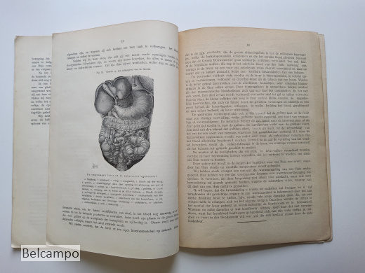 De bloedsomloop en de spijsvertering van den Mensch