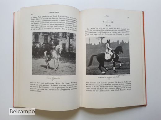 Die Dressur des Reitpferdes für Turnier und Hohe Schule.