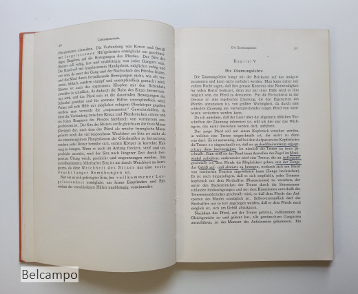 Die Dressur des Reitpferdes für Turnier und Hohe Schule.