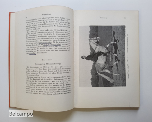 Die Dressur des Reitpferdes für Turnier und Hohe Schule.