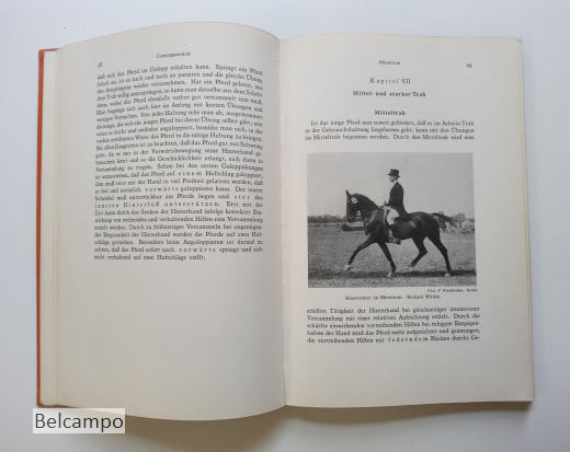 Die Dressur des Reitpferdes für Turnier und Hohe Schule.