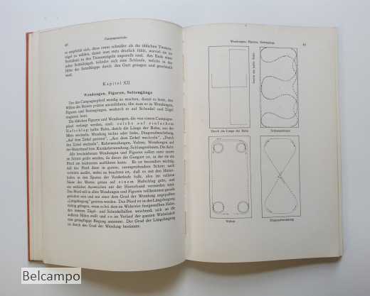Die Dressur des Reitpferdes für Turnier und Hohe Schule.