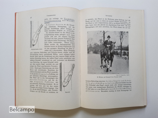 Die Dressur des Reitpferdes für Turnier und Hohe Schule.