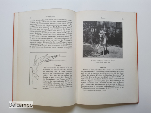 Die Dressur des Reitpferdes für Turnier und Hohe Schule.