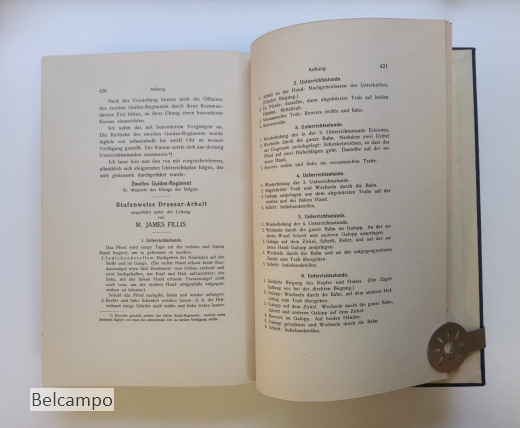 Grundsätze der Dressur und Reitkunst von Gustav Goebel.