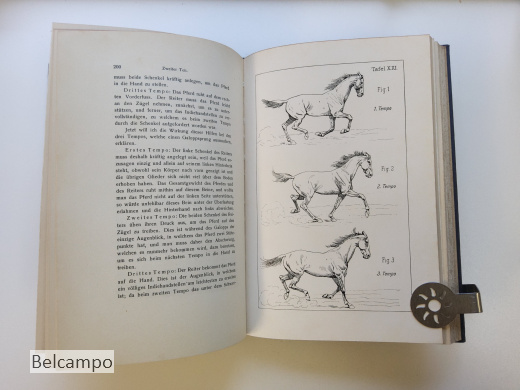 Grundsätze der Dressur und Reitkunst von Gustav Goebel.