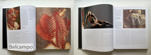 Anatomie voor kunstenaars