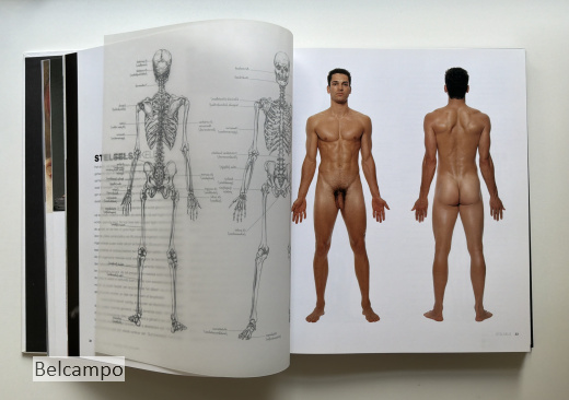 Anatomie voor kunstenaars