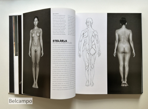 Anatomie voor kunstenaars