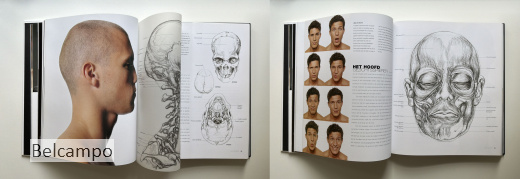 Anatomie voor kunstenaars