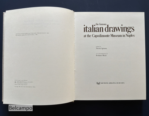 The Famous Italian Drawings at the Capodimonte Museum in Naples.