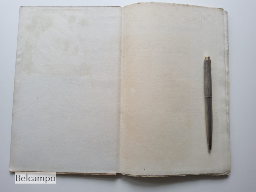 Het oudste Leenactenboek