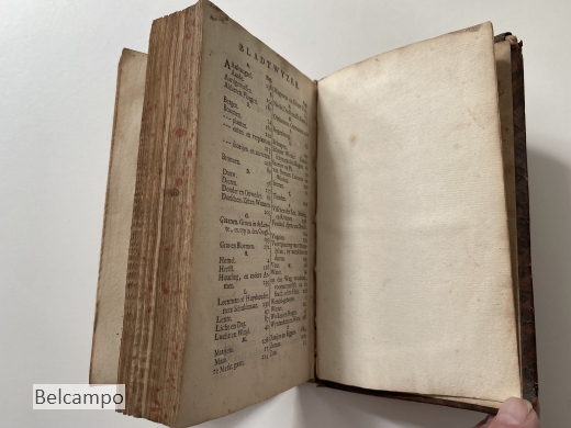 Kort-bondige natuur- en schriftmatige landt-theologie