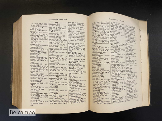 Hebräisches und Aramäisches Handwörterbuch