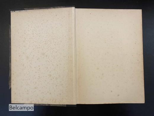 Hebräisches und Aramäisches Handwörterbuch