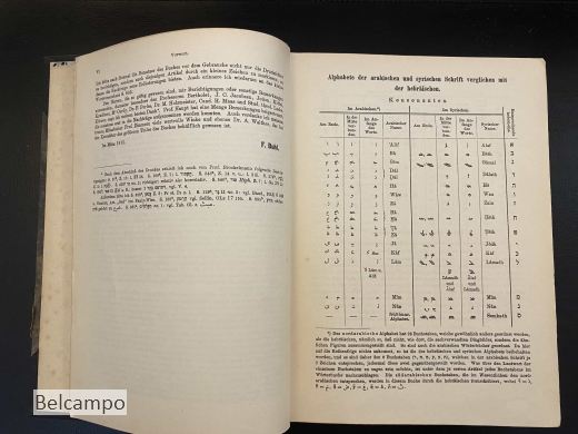 Hebräisches und Aramäisches Handwörterbuch