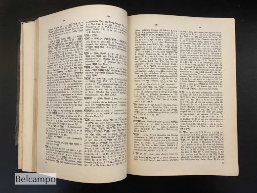 Hebräisches und Aramäisches Handwörterbuch