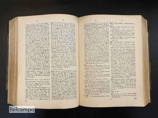 Hebräisches und Aramäisches Handwörterbuch